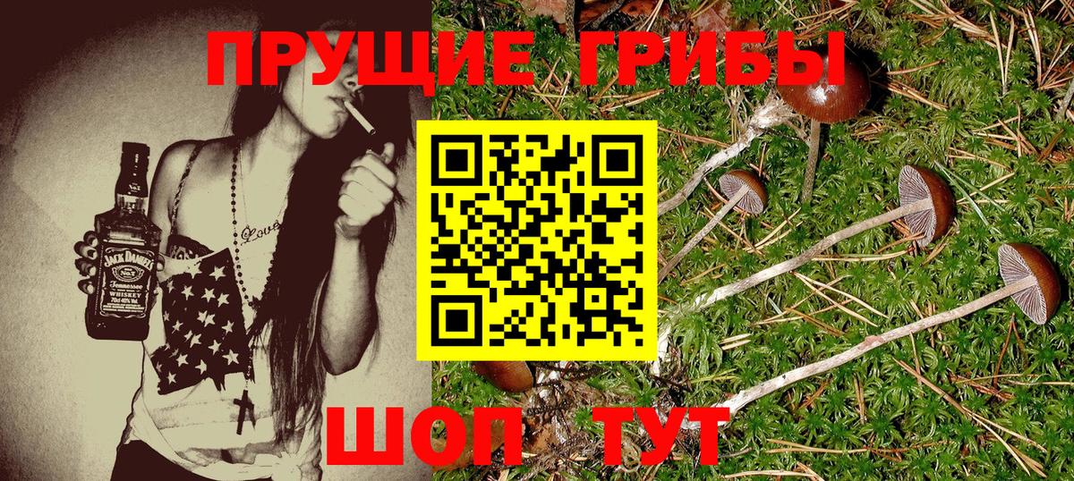 Псилоцибиновые грибы прущие грибы  Псилоцибиновые грибы ЛСД  Калуга  Вход с VPN 